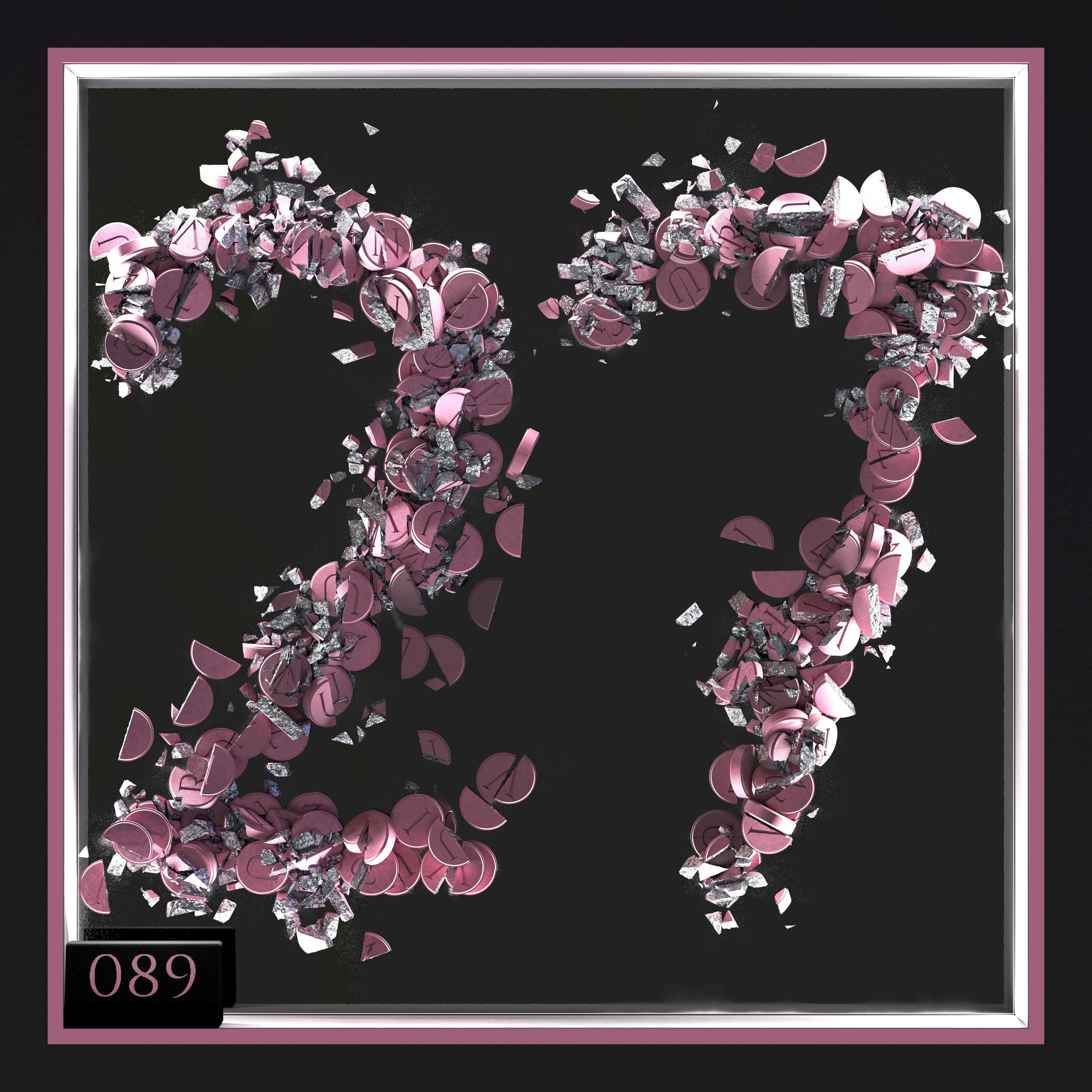 Surviving 27 - Edition 089 front cover